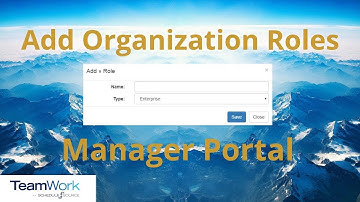 TeamWork 5 Manager Tutorial: How to Add Organization Roles