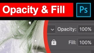 Photoshop'ta Opacity ve Fill Arasındaki Fark Nedir? screenshot 5