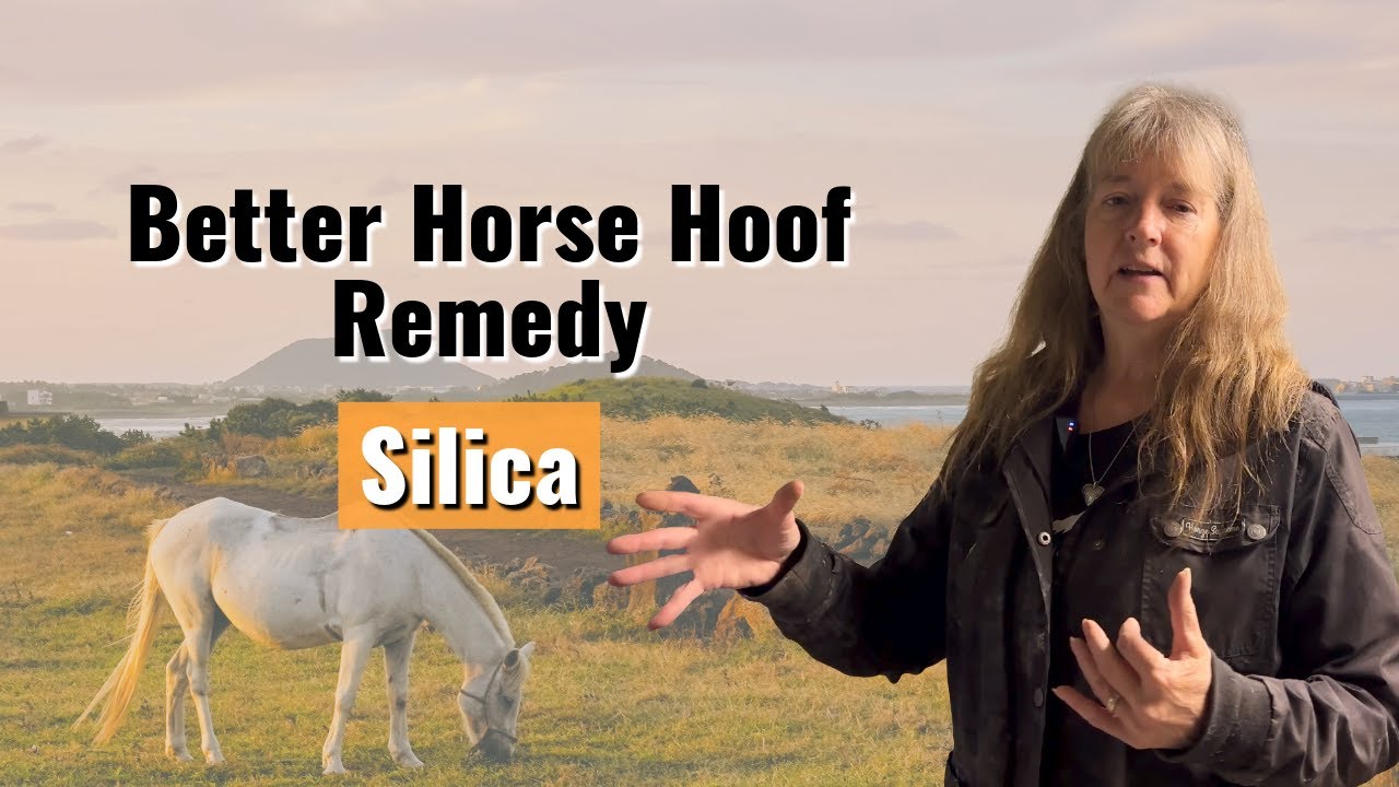 Better Horse Hoof Remedy: Silica For Laminitis & Support