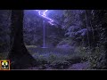 Jungle Thunderstorm at Night | Rain, Thunder and Animal Sounds for Sleeping, Studying, Relaxing