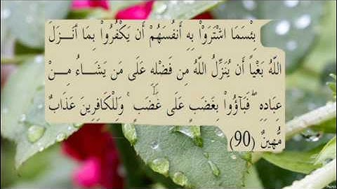 القران الكريم سورة البقرة الاية 90