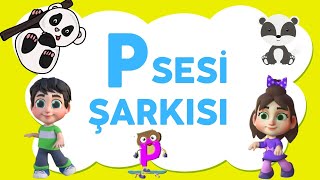 P Harfi Şarkısı | Tulido Resimi