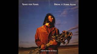 Tears For Fears - Break It Down Again (Instrumental)