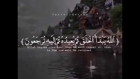 آيات من الذكر الحكيم بصوت القارئ عبدالرحمن المسعد.