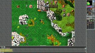 Tibia 2015 Gameplay 4