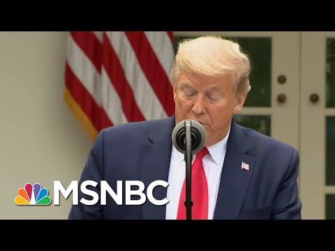 Trump's Attacks On WHO Contradict His Own Words, And The Facts  - Day That Was | MSNBC