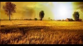 R. S. Thomas - The Bright Field - A poem celebrating eternity ...