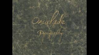 Miniatura de vídeo de "Osunlade - A Day Without U"
