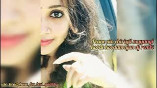 Penne nin chiriyil mayangi koode koodam njan dj remix Malayalam @mass videos