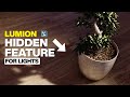 Lumion Hidden Feature for Lights #Shorts
