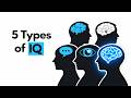 5 Types of IQ:The 5th Is the Rarest (Psychology Explains)
