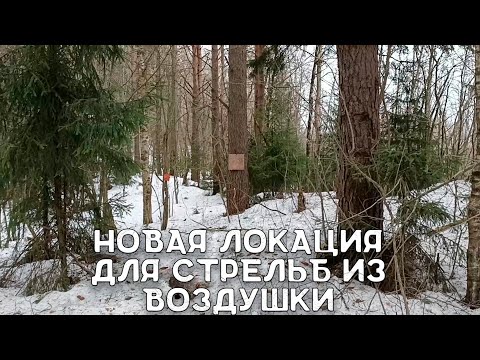 Выбор места и обустройство полигона | Новая локация для стрельб из воздушки