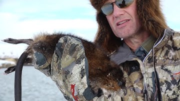Muskrat Trapping with Randy Newberg, Hunter - Trap Check Day