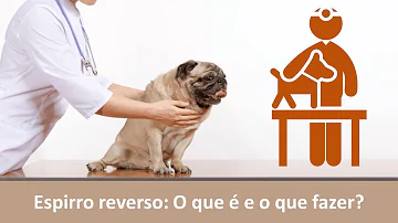 Como acabar com espirro reverso?