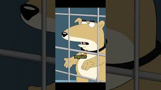 Celebrity Brian got replaced with Vinny 🐶#brian #newdog #familyguy #vinny #fyp Net Worth