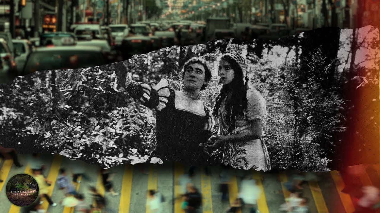 Welcome to The Stillness Archives 🍃