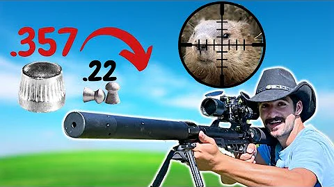 How LETHAL is a .357 Air Rifle? Airforce Texan ss