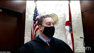 Judge Blake Adams Violaton of Probation dockets 20th circut court 12 21 2020