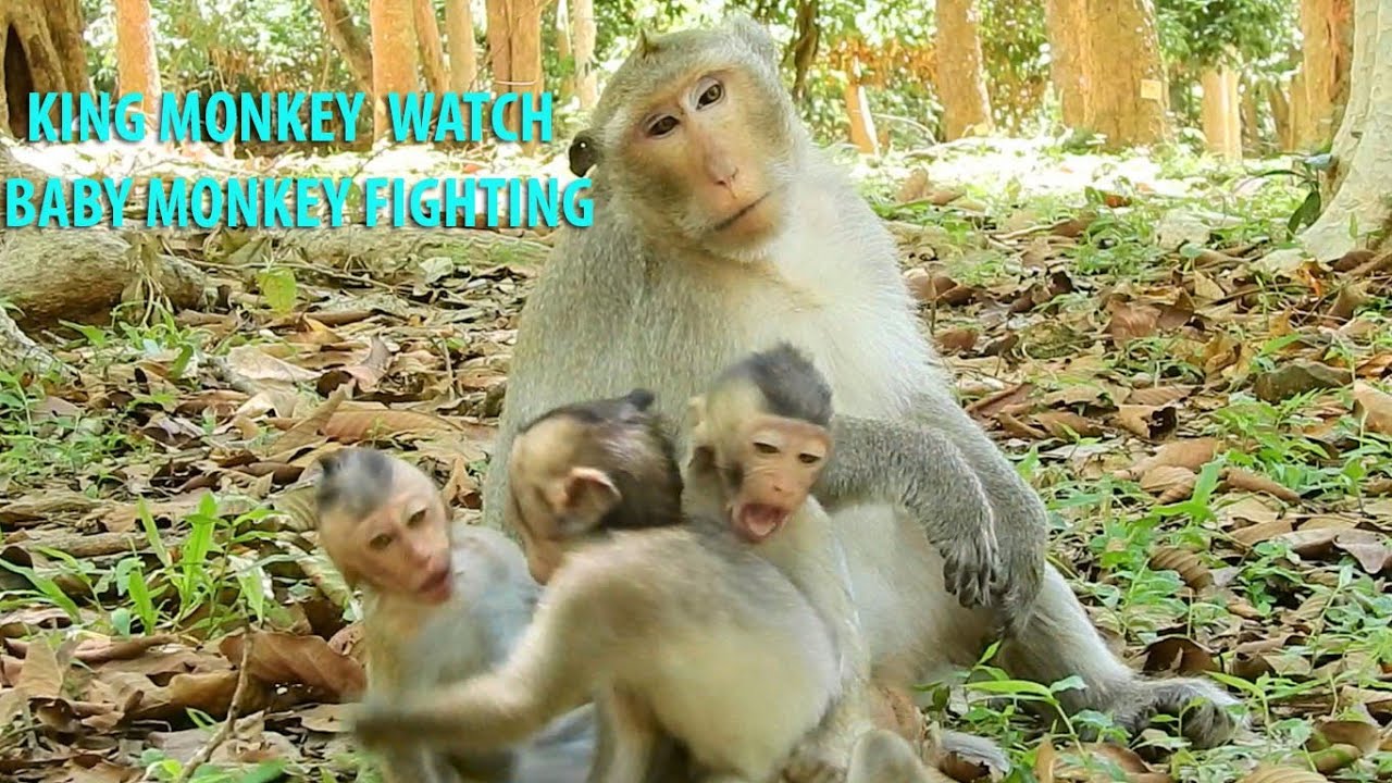 Wonderful!Super Joking Baby Dustin Brave Fight With Baron & Amber Troop Friend Not Afraid King Loki