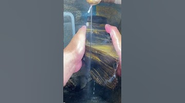 The process of cutting tree patterned stones- Good tools and machinery make work easy