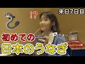 人生初うな重⁉日本の太ってるうなぎに驚きが止まらない‼🥹うなぎがこんな料理にも出来上がるんですね…？