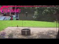 (5/21/2024) PeachJars: BIRD WATCHING IN CYR'S BACKYARD!