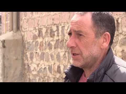 ენზელ მკოიანი 4