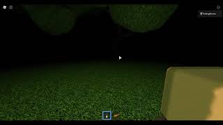First Person Arms
