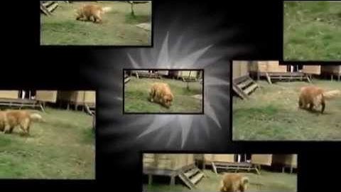 Video clip  (Created with @Magisto)