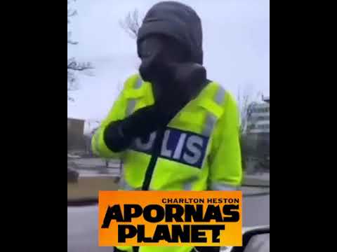 Skäggetorp Linköping upplopp 14 April 2022 - Apornas Planet