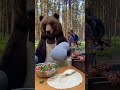 Wild Bear Grills Lavash BBQ — A Scene You’d Never Expect!