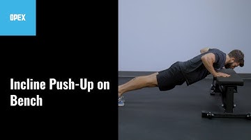 Incline Push Up on Bench