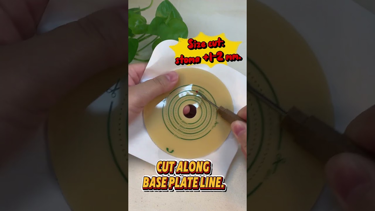 Learn to cut base in 20s！