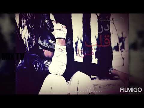 آهنگ زیبای برو برو هر جا بگو که یار من دیوانه بود عاشق نبودی ببین و لذت ببر     