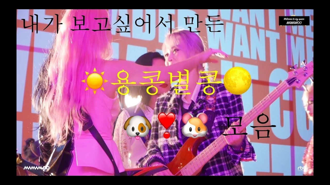 [용콩별콩] 내가 보고싶어서 만든 용콩별콩 모음!