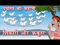 Hindi animated story  sikaari aur kabutar      hunter and pigeon