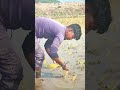 আমার ভিডিওগুলা আপনার কাছে কি রকম লাগছে কমেন্টে জানিয়ে যাবেন #teachersdiary #victorydayofbangladesh