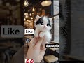 A Teny Cat Is So Sweet A Teny Cat Is So Sweet