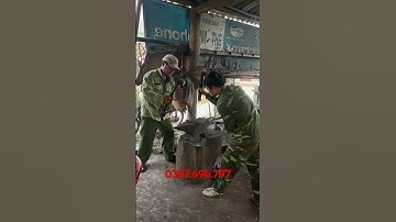 Dao phúc sen cao bằng #shorts