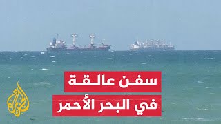 شاهد| توقف عشرات السفن العابرة للبحر الأحمر في المياه الإقليمية لجيبوتي