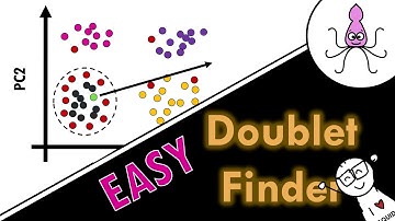 How does doublet finder work? Easy explanation!