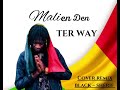 Terway malien den cover remix prod by petit one mp3