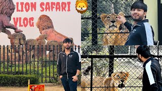 Lion Safari by personal Car | Vlog | Etawah | by Saksham7000(All Rounder) 5,430 views 1 year ago 5 minutes, 25 seconds