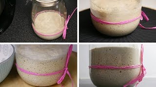 الخميرة البلدية من الالف الى الياء/ le levain naturel