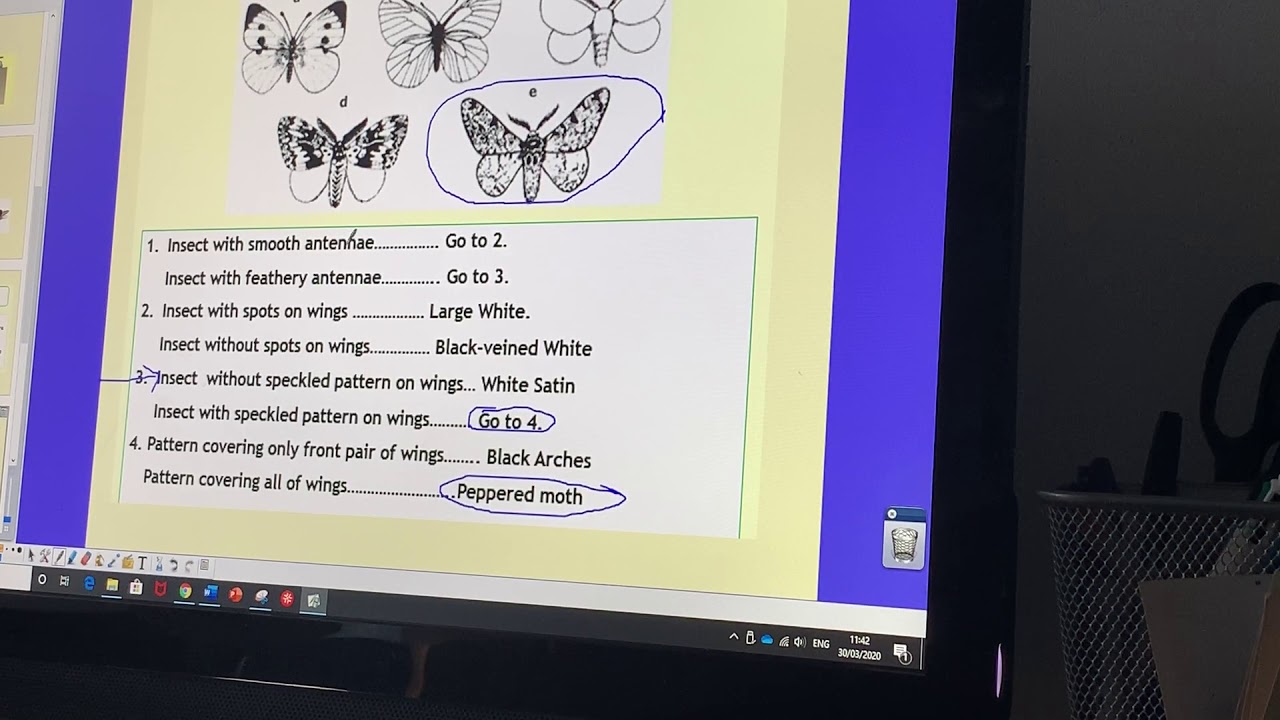 biology nat 5 assignment