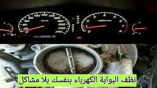 تنظيف البوابة الكهرباء بنفسك بلا مشاكل