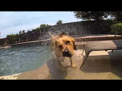 Difference between 1080p 60fps / 720p 120fps / WVGA 240fps (Slow mo)