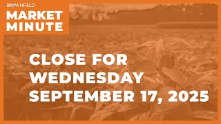 Cattle fell sharply Wednesday | Closing Market Minute