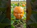 “CHUCKY” Possessed This Pumpkin 🔪🎃( Scary Pumpkin Mold)
