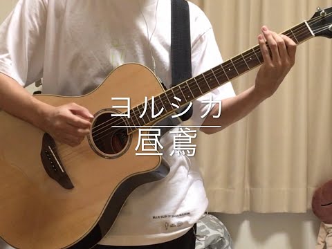 ヨルシカ ヨルシカ｜ヨルシカ OFFICIAL SITE